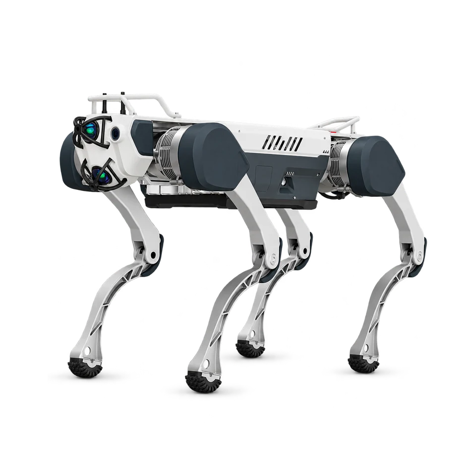 Studio portrait of DEEP Robotics X30
