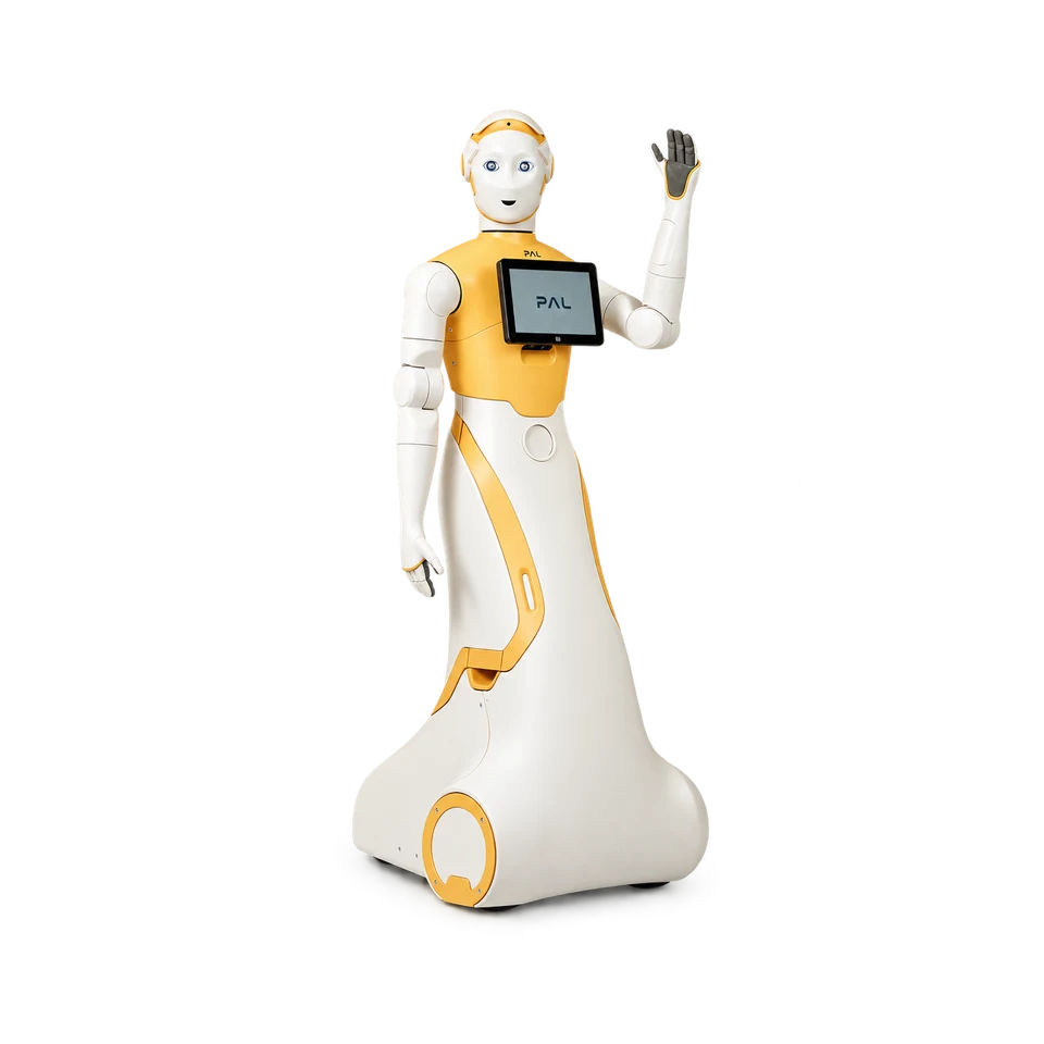 Studio portrait of PAL Robotics ARI